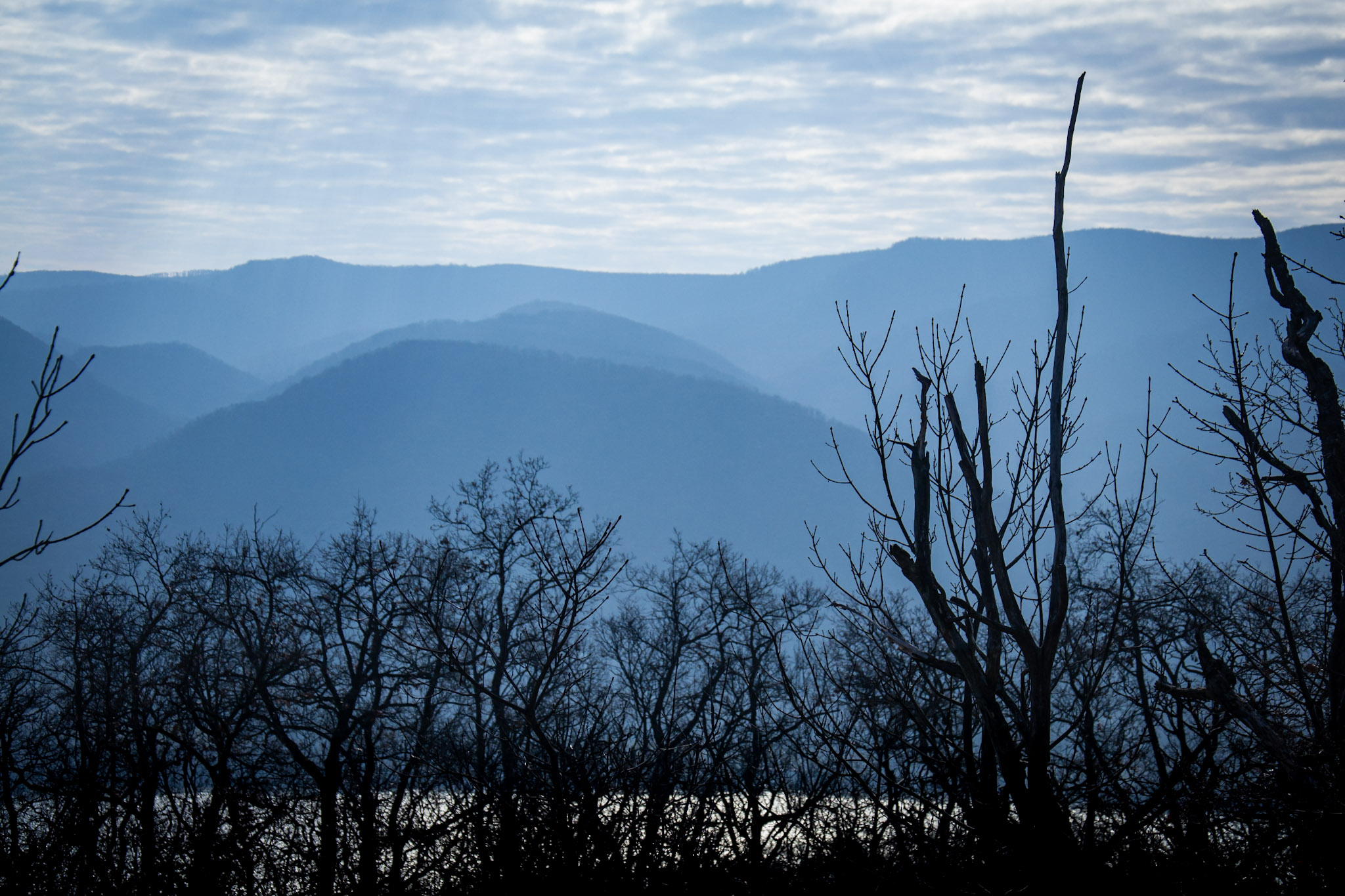 Blue mountain landscape