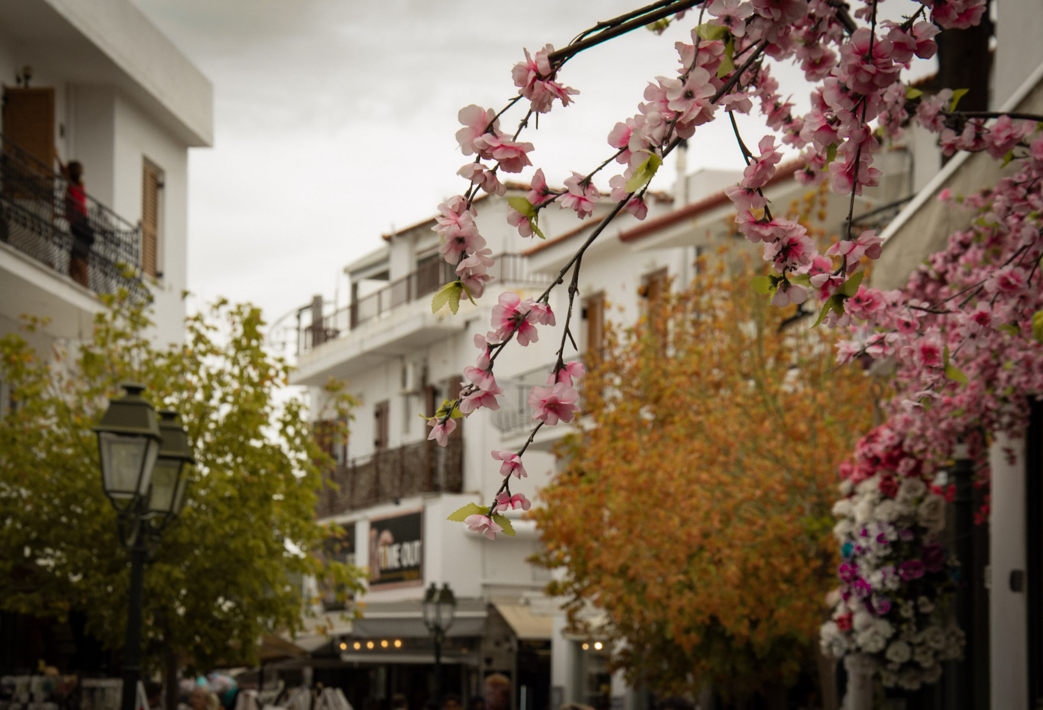 Blossom and village